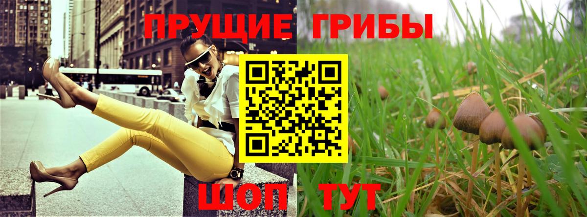 Октябрьский  Галлюциногенные грибы Psilocybe  Псилоцибиновые грибы Cubensis  Вход с VPN 